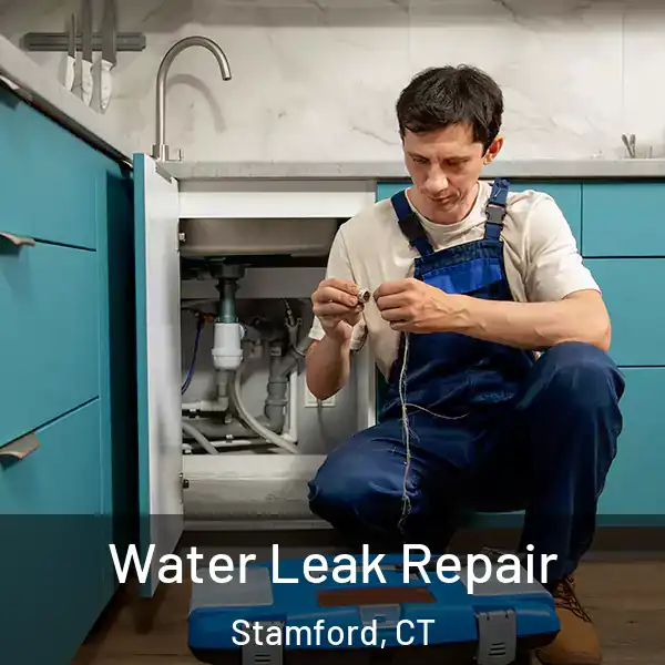  Water Leak Repair Stamford, CT